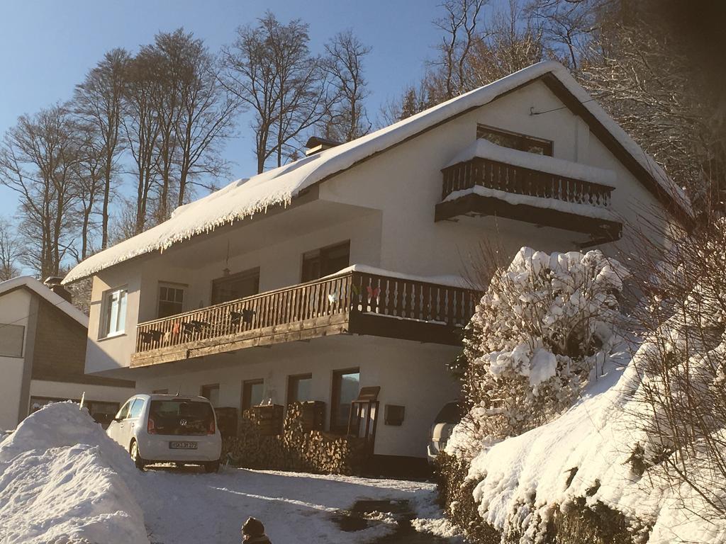 Ferienwohnung Brandenburger Schmallenberg Dış mekan fotoğraf